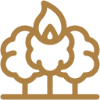 Icon of trees with a flame symbol.